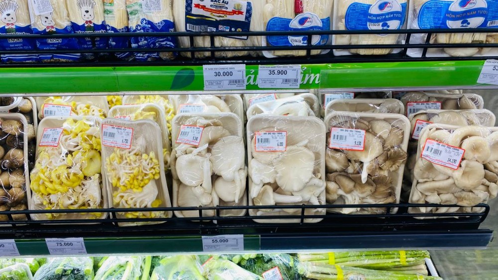 Central Retail triển khai thành công Dự án Sinh kế cộng đồng tại Đắk Lắk