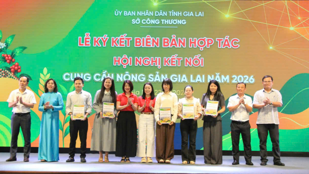 40 doanh nghiệp, Hợp tác xã tỉnh Gia Lai kết nối tiêu thụ hàng hóa với Hệ thống siêu thị GO!