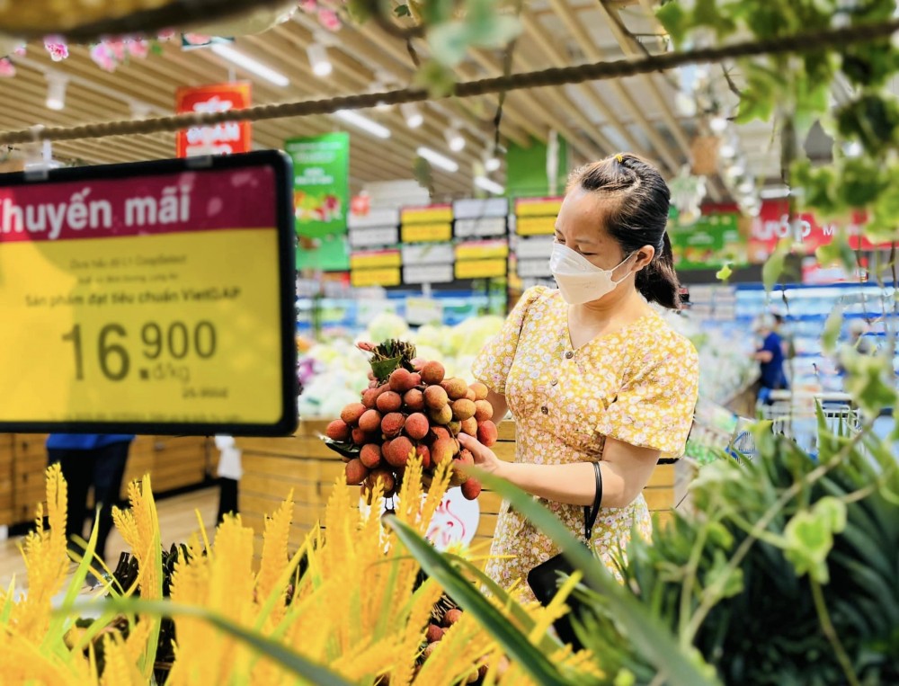 300 tấn vải Thanh Hà “lên đường” vào hệ thống Saigon Co.op 
